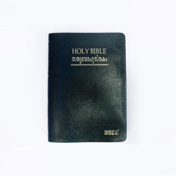 BSI Malayalam Holy Bible