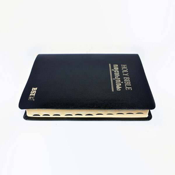 BSI Malayalam Holy Bible