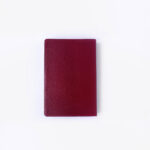 Malayalam Holy Bible (Maroon Leather)