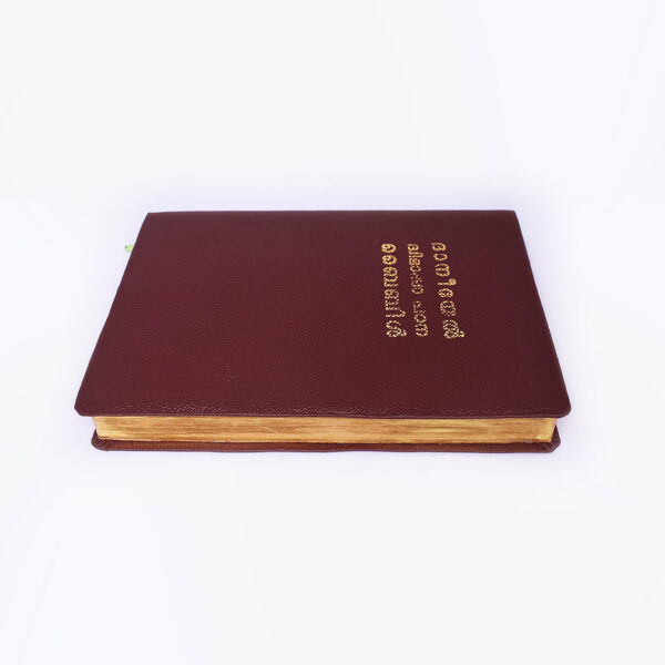 Daniel Bilingual (English-Malayalam) Holy Bible