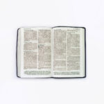 NKJV Thinline reference Large Print Purple Bible
