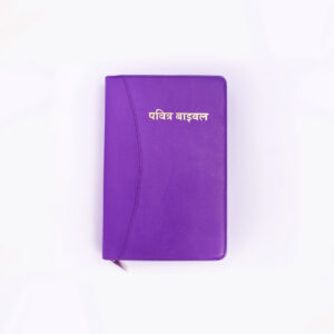 BSI Hindi Holy Bible Purple