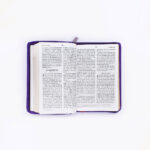 BSI Hindi Holy Bible Purple