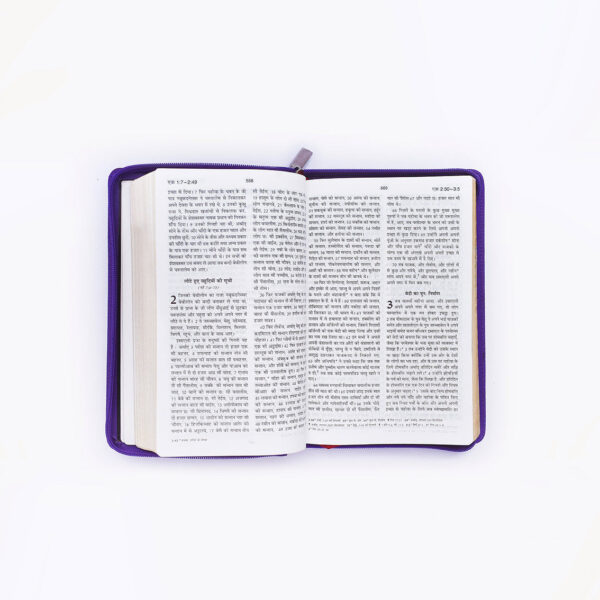 BSI Hindi Holy Bible Purple