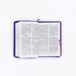 BSI Hindi Holy Bible Purple