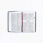 KJV Holy Bible Medium Burgundy & index