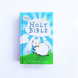NIV Children's Holy Bible