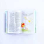 NIV Children's Holy Bible