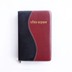 BSI Hindi Holy Bible Brown & Black