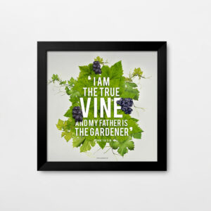 I am the true vine, and my Father is the gardener (John 15:1) Bible Verse Frame