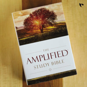 BBL18_as_AMPLIFIED-STUDY-BIBLE-HC_a