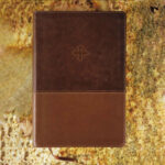 BBL19_as_The-Amplified-Study-Bible,-Leathersoft,-Brown_a