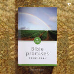 BBL22asNIV,-Once-A-Day-Bible-Promises-Devotional,-Paperback_1