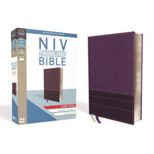 BBL46as NIV Thinline Bible Large Print Imitation Leather Purple Red Letter Edition New International Version Purple Plum Thinline Red Letter b