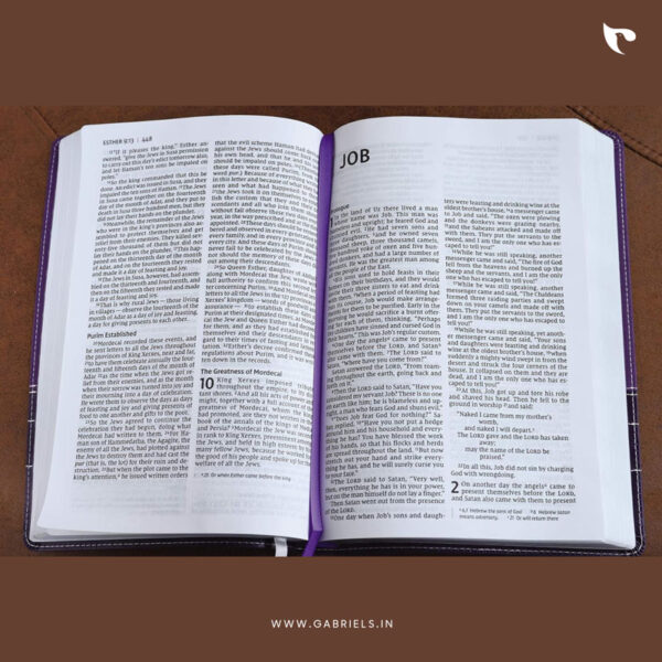 BBL46as NIV Thinline Bible Large Print Imitation Leather Purple Red Letter Edition New International Version Purple Plum Thinline Red Letter f