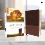 The Amplified Study Bible, Leathersoft, Brown Imitation Leather
